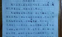 团结力量大作文