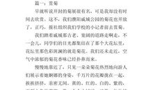 写菊花的作文500字