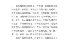 写菊花的作文300字