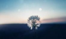 蔡康永经典语句