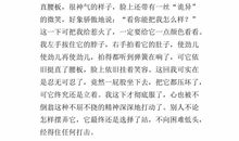 作文我的新发现