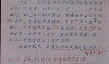 我的小发现作文