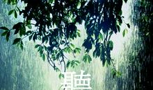 听雨作文