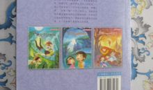 刺猬女孩艾可儿读后感