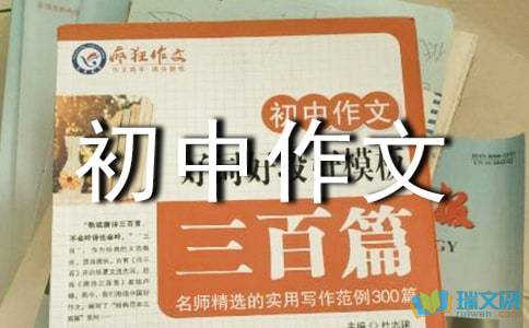 我的新发现