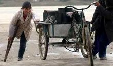 敬畏生命的读后感