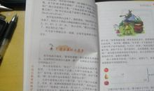 廉洁小故事的读后感