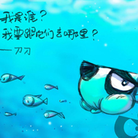 道狗经典报价