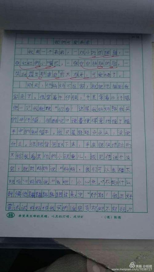 夏雨作文