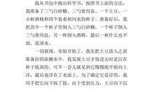 我的新发现作文