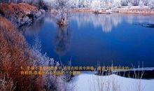 毕淑敏经典语句