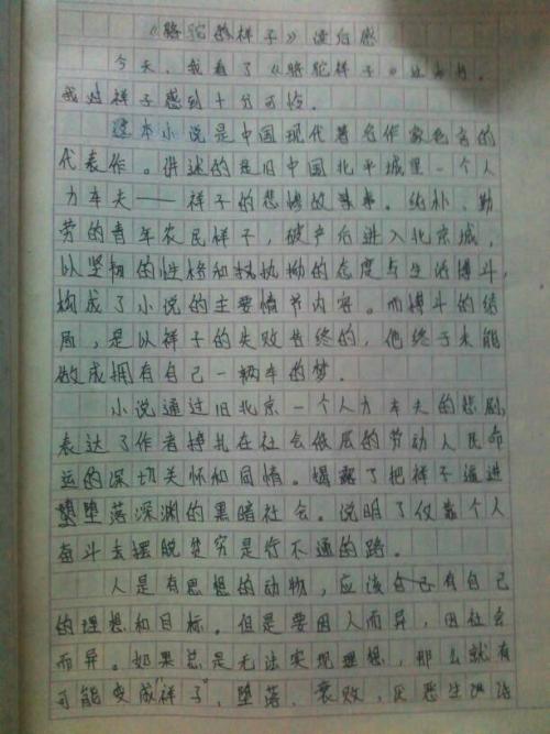 看完两部杰作后的感想