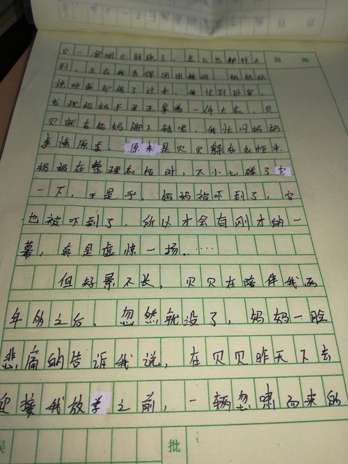 500字