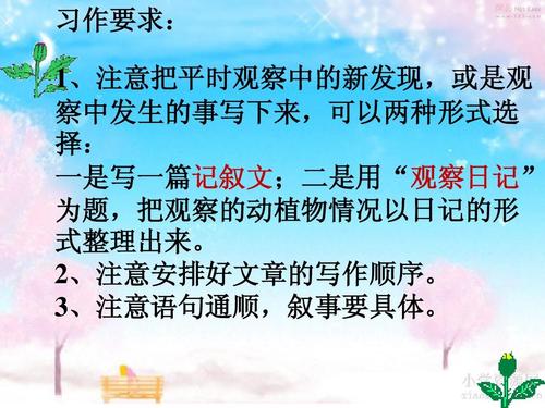 擅长发现构图