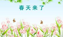 春天来了作文100字