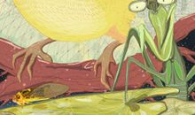 螳螂捕蝉黄雀在后的启示