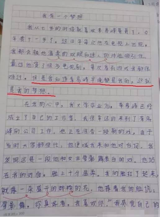 小发现组成