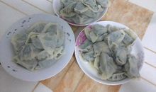 第一次包饺子作文500字