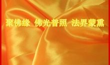 飘扬的黄哈达读后感