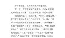 暑假生活体验作文