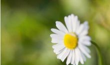 暖一颗心要多少年，凉一颗心只要一瞬间