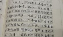 学校里难忘的事作文