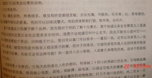 小狗作文300字