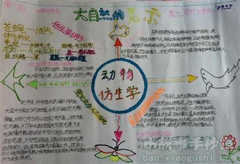 动物灵感