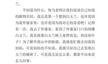 描写玉兰花的作文