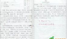 动物历险记作文