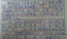 暑假里的新鲜事作文500字