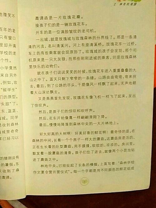 森林历险记