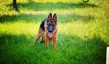 父爱是双千里眼