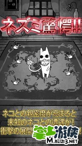 猫观察日记