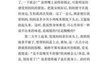 身边的感动作文400