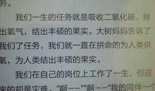 大自然中的发现作文