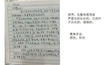 爬山虎观察日记