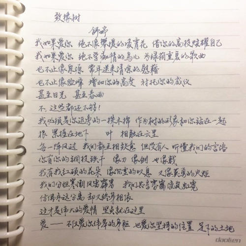 到橡树