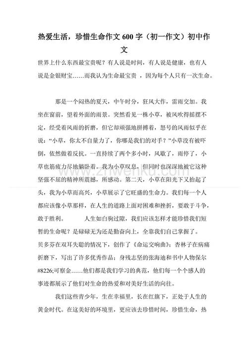 宝生活构成300字