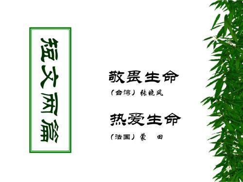 敬畏生命
