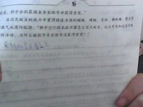 暑假生活安排组成