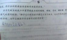 暑假生活安排作文