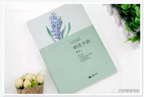 鲁迅传记评