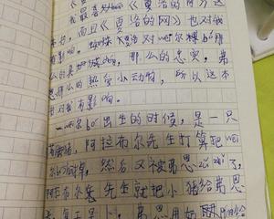 一句话的奇迹