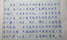 暑假来了作文