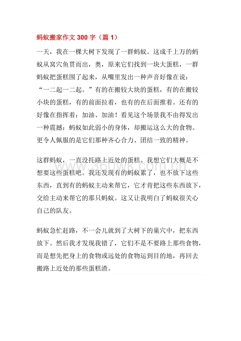 写蚂蚁组成