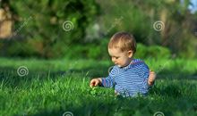 草坪男孩读后感