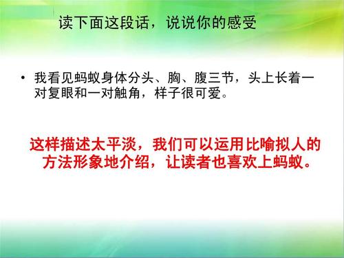 关于蚂蚁的组成