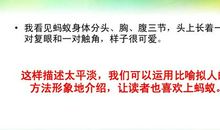 关于蚂蚁的作文