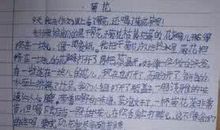 小学三年级作文菊花